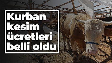 Aydın da kurban kesim ücretleri belli oldu Aydın Ses Gazetesi En