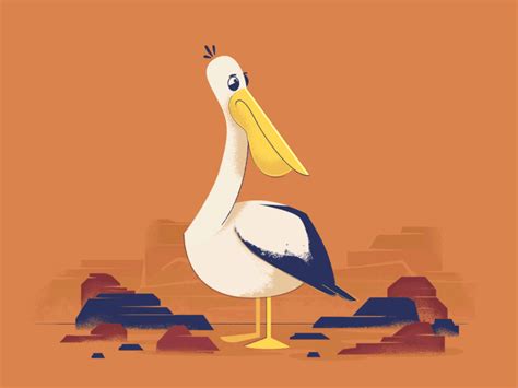 Pelican By Daniel Harries On Dribbble