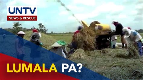 Pag Amiyenda Sa Rice Tariffication Law Isinusulong Ng Grupo Ng Mga