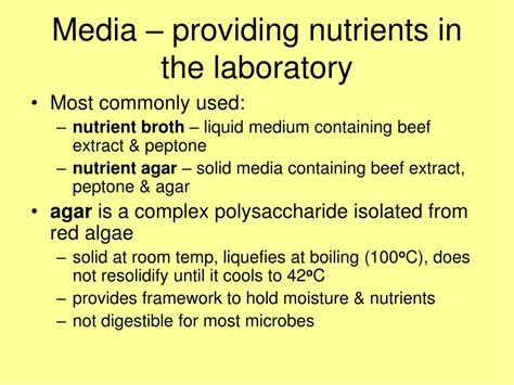 Ppt Culturing Microorganism Powerpoint Presentation Free Download Id9585536