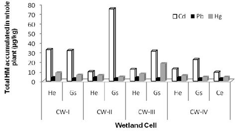 Heavy Metal Accumulation By Plant In Each Cw Cells Download