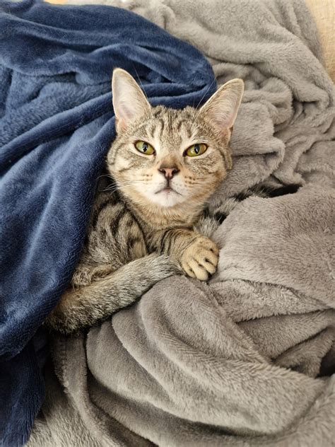 happy tt images  pholder  political twitter