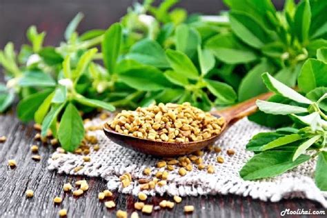 10 Best Natural Herbs And Spices To Lower Bad Cholesterol