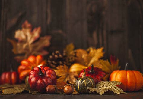 Royalty Free Thanksgiving Pictures Images And Stock Photos Istock