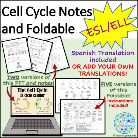 Esl Biology Cell Cycle Mitosis Notes And Foldable Made By Teachers