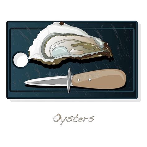 Fresh Opened Oyster Vector Images Set On Plate Dish Isolated On White Background Stock Vector