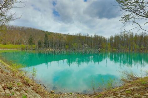 Blue Pond Aoiike in Biei, Hokkaido Stock Photo - Image of reflection ...