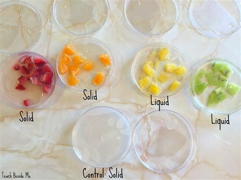 fruit enzyme gelatin experiment  keith criswell blog