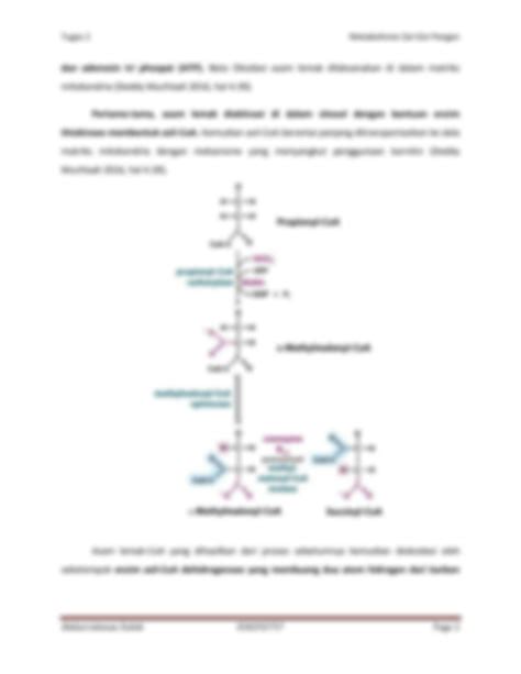 SOLUTION Tugas 2 Metabolisme Zat Gizi Pangan Studypool