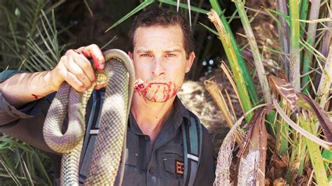 Top 5 Momentos Repugnantes De Bear Grylls Youtube