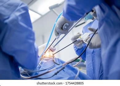 11 Keyhole Surgery Scar Stock Photos, Images & Photography | Shutterstock