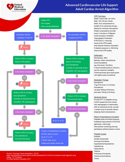 Pulseless Ventricular Tachycardia Ventricular Tachycardia Acls Acls | Images and Photos finder