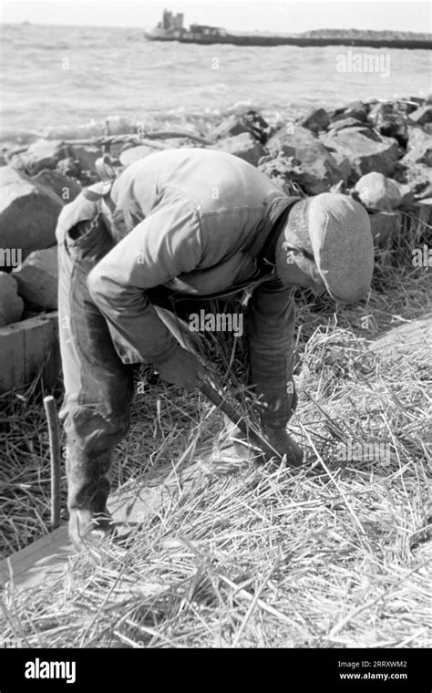 1950s Construction Worker Black And White Stock Photos And Images Alamy