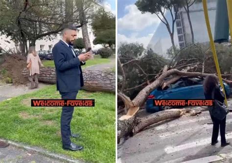 Video Un Albero Caduto A Roma In Via Cristoforo Colombo Ferendo