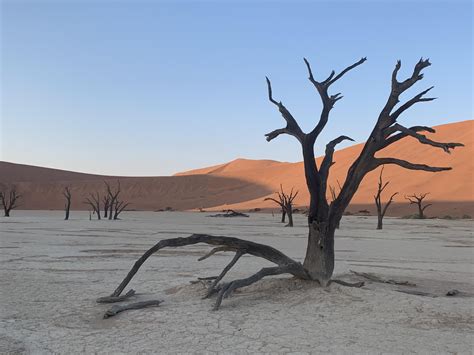 Namibia Desert : r/Namibia