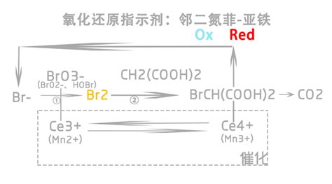 B Z 振荡（及其大概原理） 哔哩哔哩