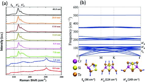 Measured Raman And Phonon Dispersion Spectrum From First Principles