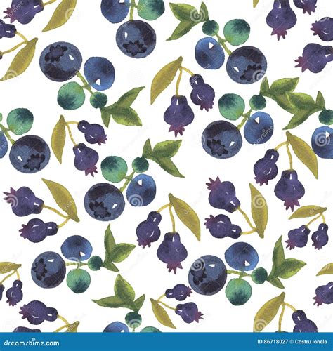 Watercolor Blueberry Seamless Pattern Stock Illustration Illustration