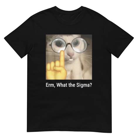 Erm What The Sigma Shirt