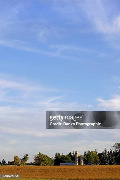 Drumbo Photos and Premium High Res Pictures - Getty Images