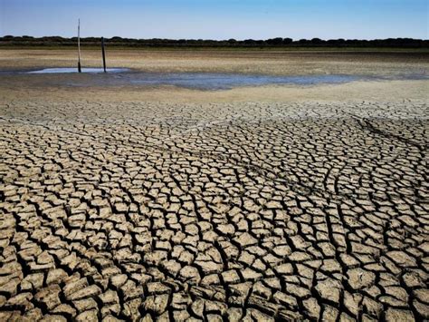 Lune des plus grandes zones humides dEurope est à sec TrendRadars