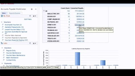 Visualizing Application Data With Peoplesoft Accounts Payable