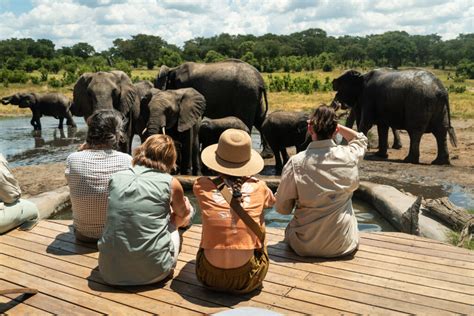 Somalisa Acacia Zimbabwe Safari African Bush Camps