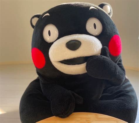 On Twitter Rt Kumamon Https T Co