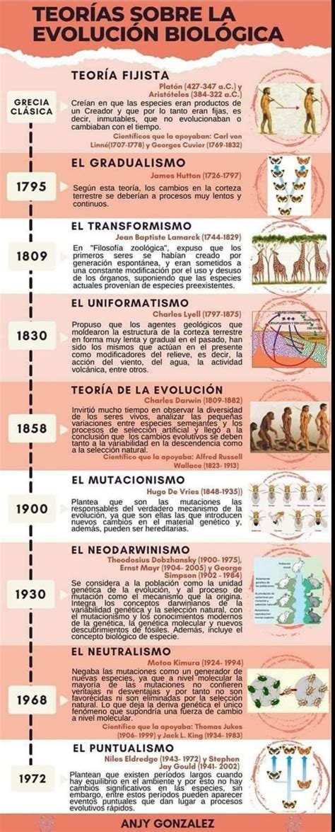 Pin De Rosa Maria Padilla Frausto En Biologia Evolucion Biologica