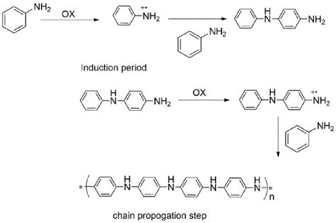 Mechanism Of Aniline Undergoing Chemical Oxidative Polymerization