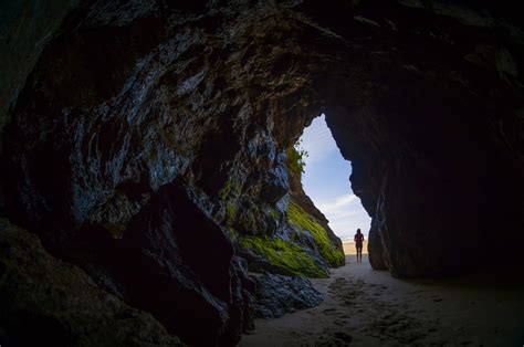 Cave Adaptations: How Life Thrives in Harsh Subterranean Environments ...