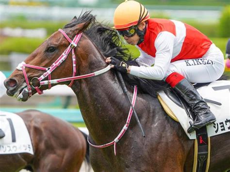 【土曜阪神3r】レイデオロ産駒の大器ショウナンハウル 2戦目で必勝態勢だ 競馬ニュース Netkeiba