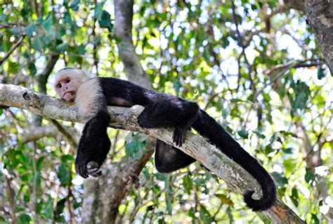 PALO VERDE NATIONAL PARK TOUR – Oxygen CR Travel