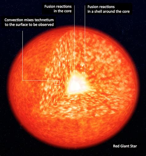 Elements From The Stars The Unexpected Discovery That Upended