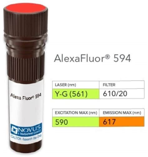 Ctla Antibody H Alexa Fluor Novus Biologicals Ml