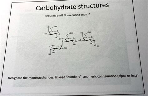 Solved Carbohydrate Structures Reducing End Nonreducing End S