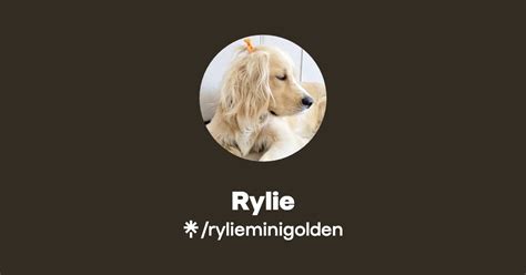 Rylie Instagram Tiktok Linktree