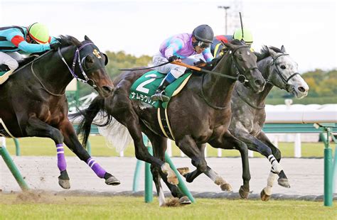 【シルクロードs】昨夏の短距離女王ナムラクレアが重賞3勝目 浜中俊騎手「g1と同じ舞台で結果が出せたのは自信に」 スポーツ報知