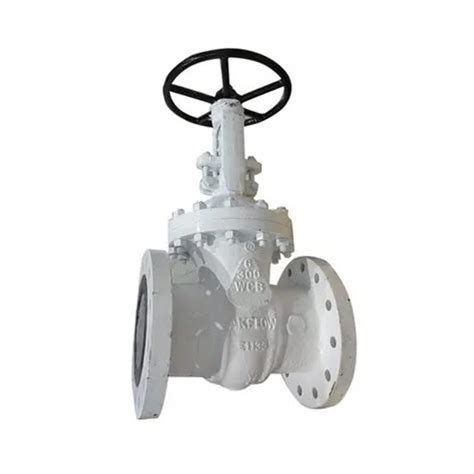 Class 300 Stainless Steel Gate Valve At 260000 Inr In Ahmedabad Jakflow Global Valve Automation