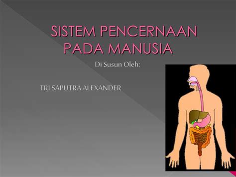 Ppt Sistem Pencernaan Pada Manusia Powerpoint Presentation Free