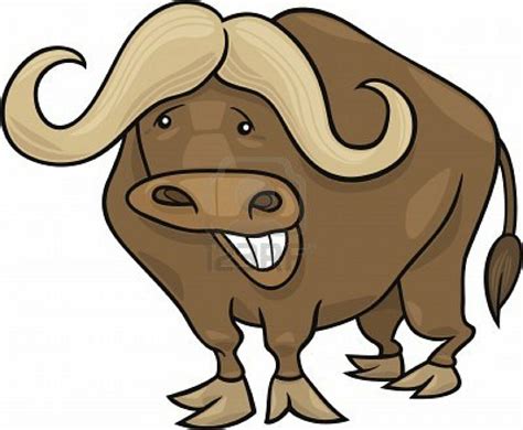 Download High Quality buffalo clipart cartoon Transparent PNG Images ...