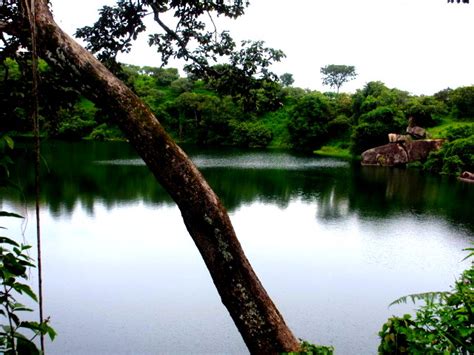 Cameroun A La Découverte Du Ranch De Ngaoundaba Par Les Chemins Du