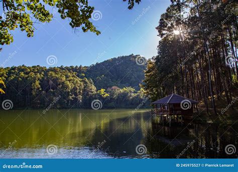 Lago De Parque Nacional Pang Oung Y Bosque De Pinos En Mae Hong Son