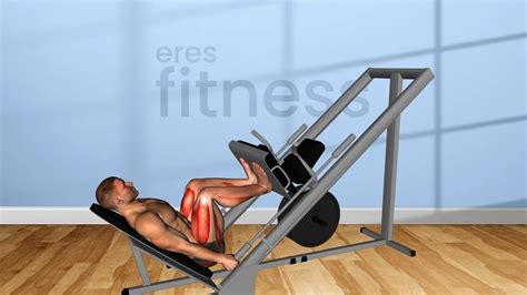 Cómo evitar lesiones en la espalda baja al realizar leg press iFitness