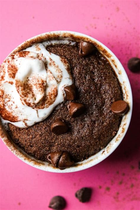 Gooey Chocolate Mug Cake The Toasted Pine Nut