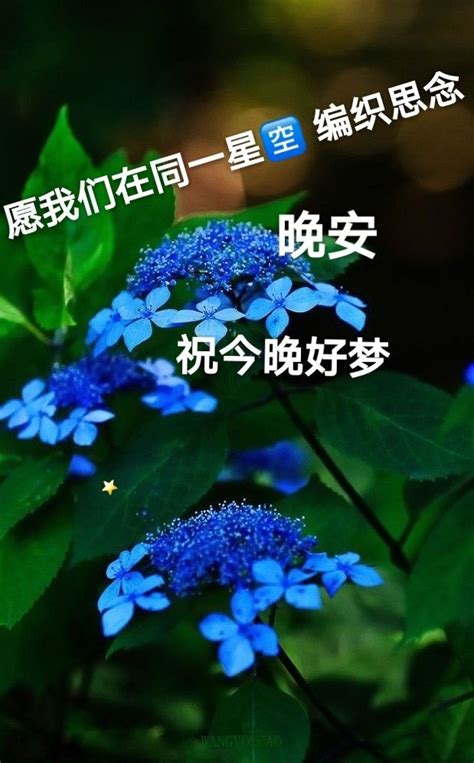 Pin by ROULLETTE ESTHER on 晚安咯 in 2022 Lockscreen screenshot