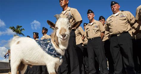 Master Chief Charlie taken off USS Lake Erie | Military Reconnassiance