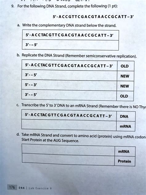 Solved For The Following Dna Strand Complete The Following Pt