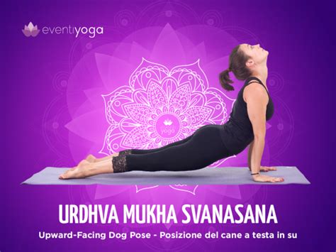 Vinyasa Flow Yoga Cos E Benefici Di Questa Speciale Pratica