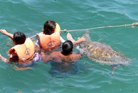 Reserva Nacional Mar Tropical Grau Por Qu Es Importante Su Creaci N